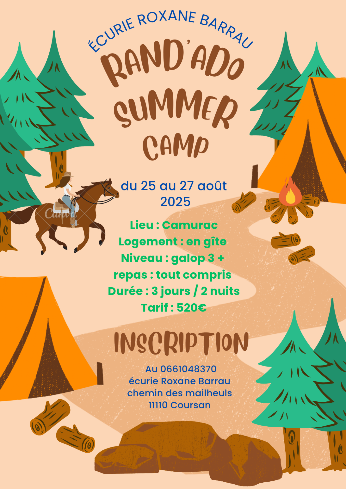 Brown green orange creative summer camp flyer 20250122 152434 0000